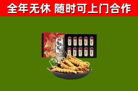 铜川市回收冬虫夏草价格